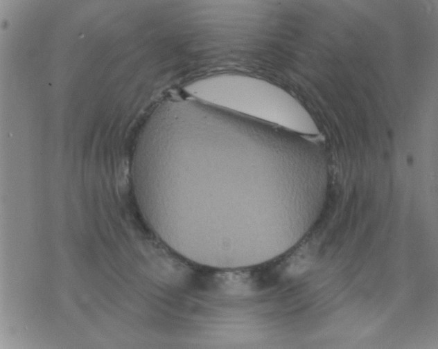 X0000075900660200610151817