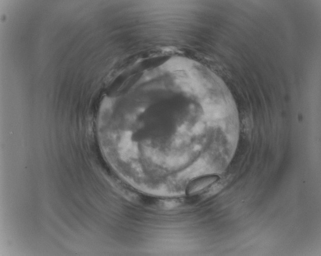 X0000075900662200610151817