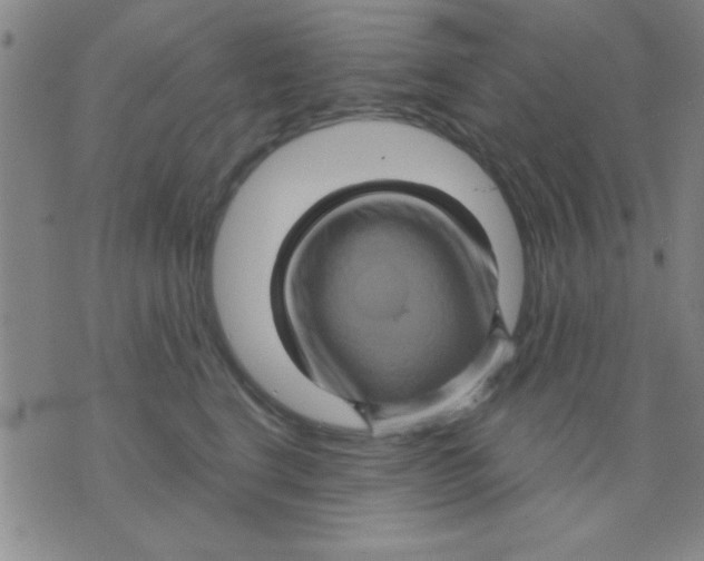 X0000075900664200610151817