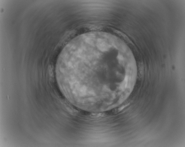 X0000075900667200610151817