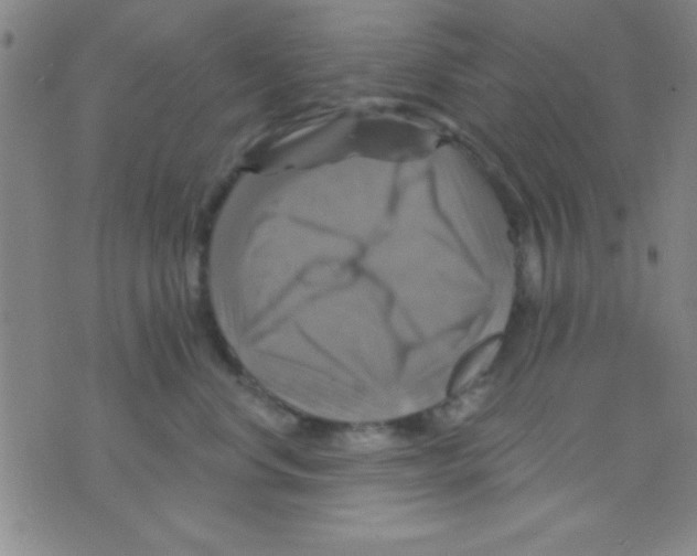 X0000075900668200610151817