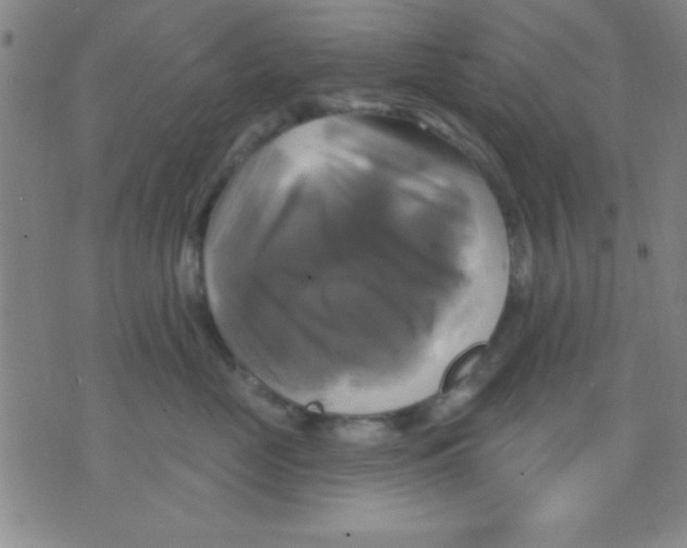 X0000075900669200610151817