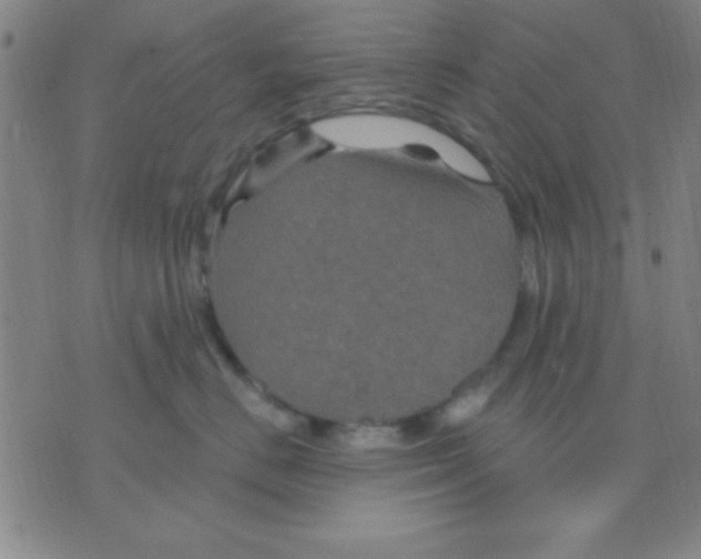 X0000075900670200610151817