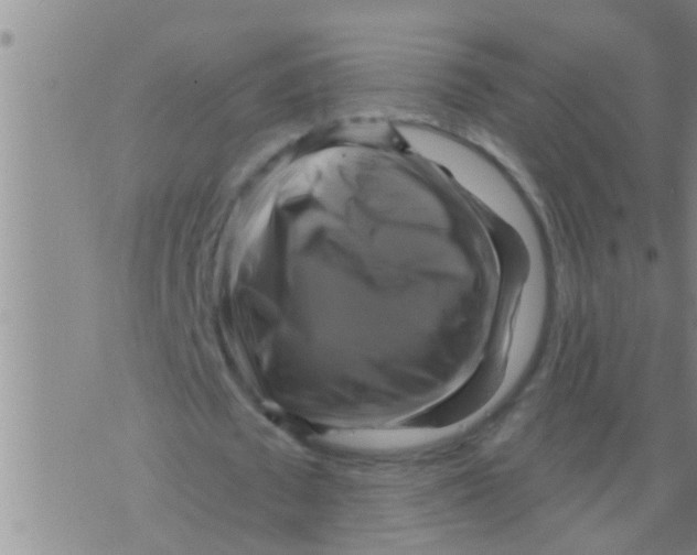 X0000075900673200610151817