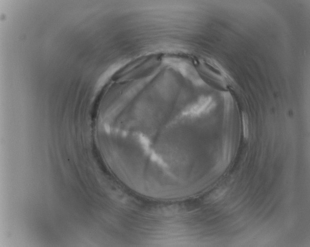 X0000075900675200610151817