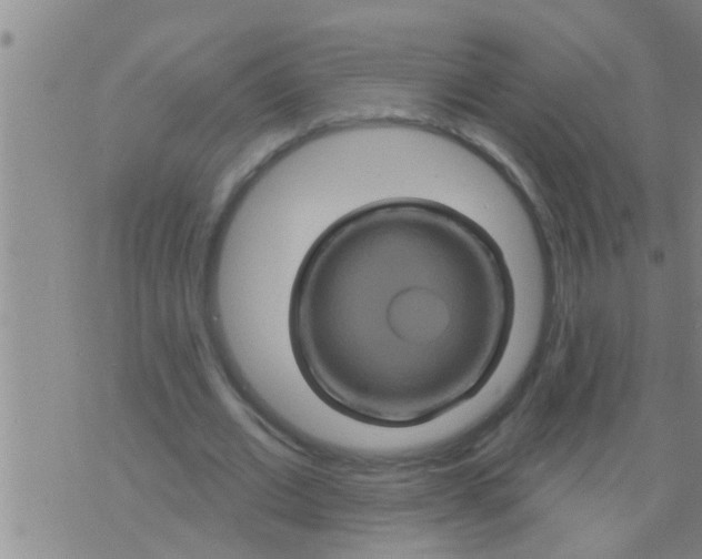 X0000075900677200610151817