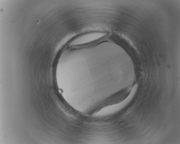 X0000075900678200610151817