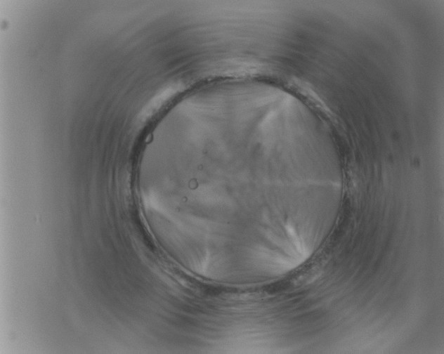 X0000075900679200610151817