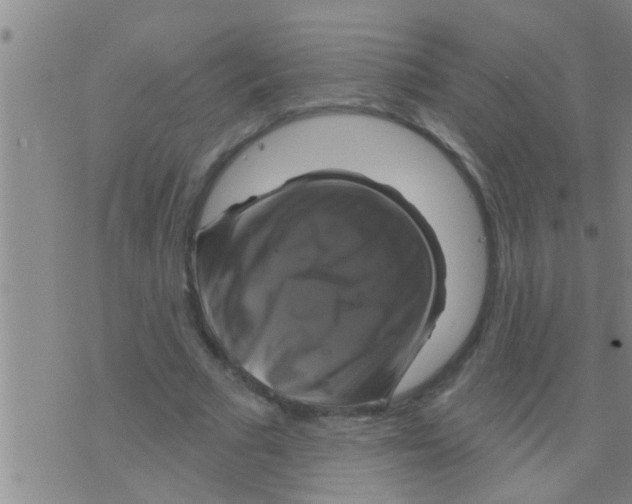 X0000075900681200610151817