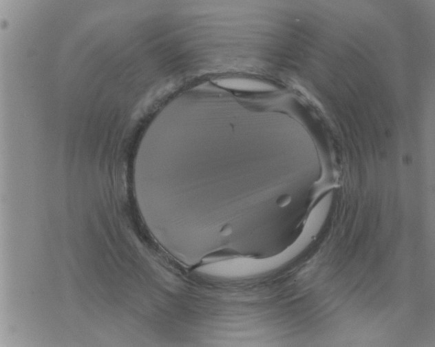 X0000075900685200610151817