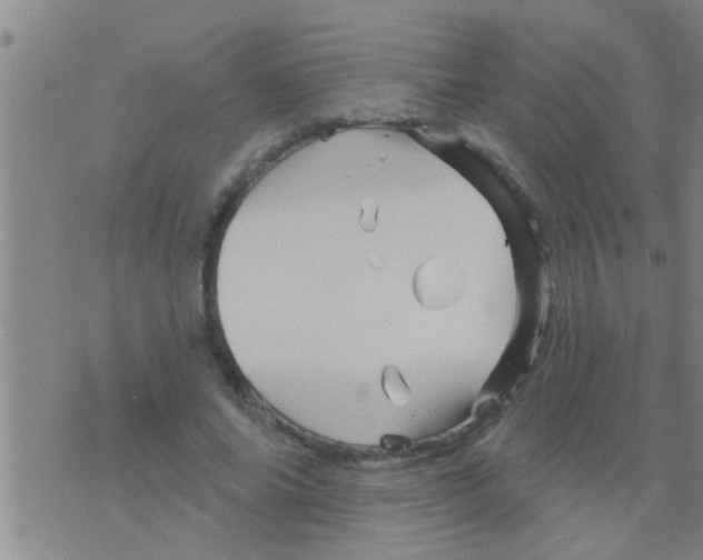 X0000075900686200610151817