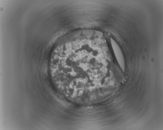 X0000075900687200610151817