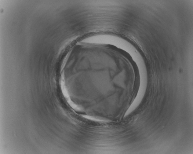 X0000075900688200610151816