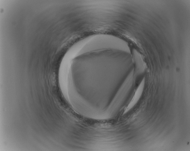 X0000075900689200610151816