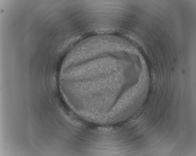 X0000075900690200610151816