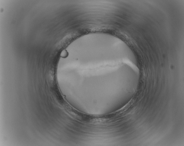 X0000075900691200610151816