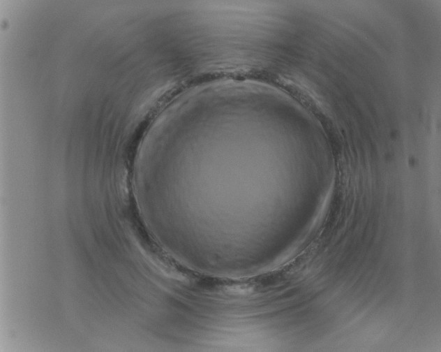 X0000075900692200610151816