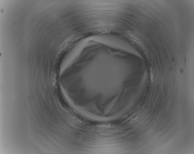 X0000075900693200610151816