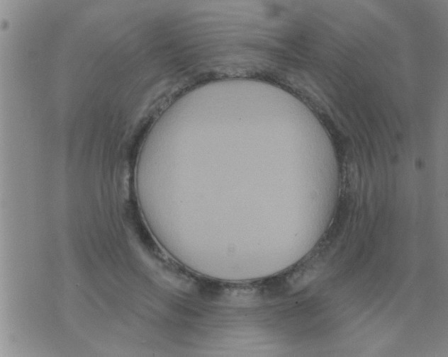 X0000075900694200610151816