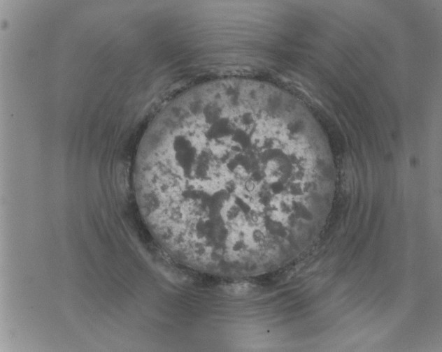 X0000075900695200610151816