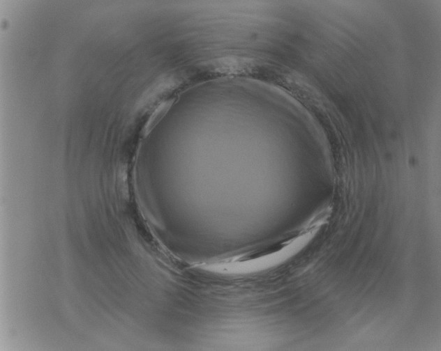 X0000075900696200610151816