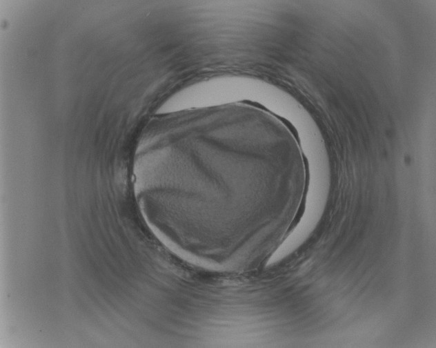 X0000075900697200610151816