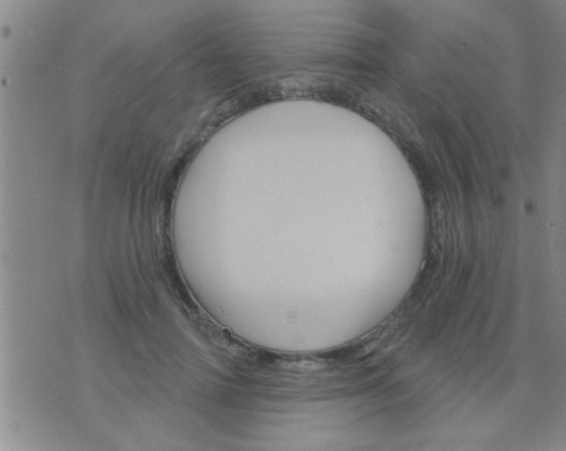 X0000075900698200610151816