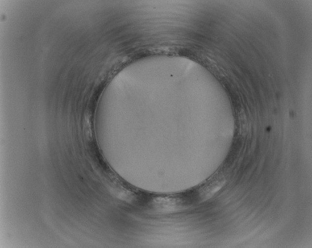 X0000075900699200610151816