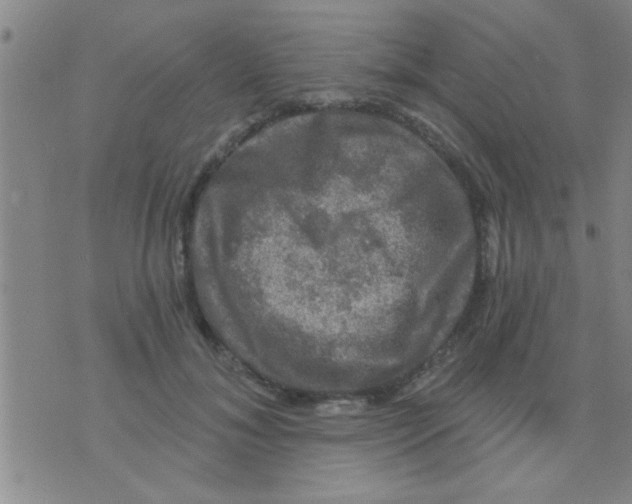 X0000075900700200610151816