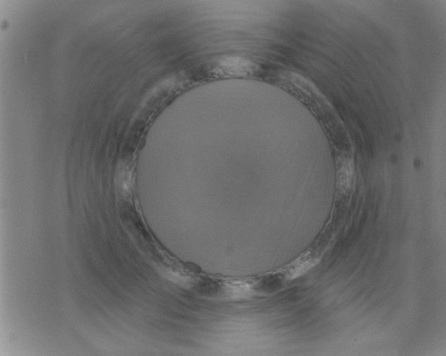 X0000075900701200610151816