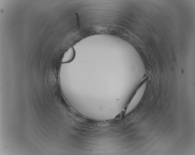 X0000075900702200610151816