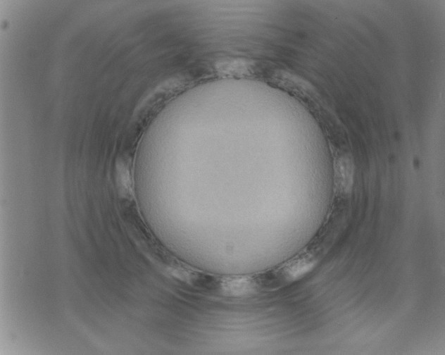 X0000075900705200610151816