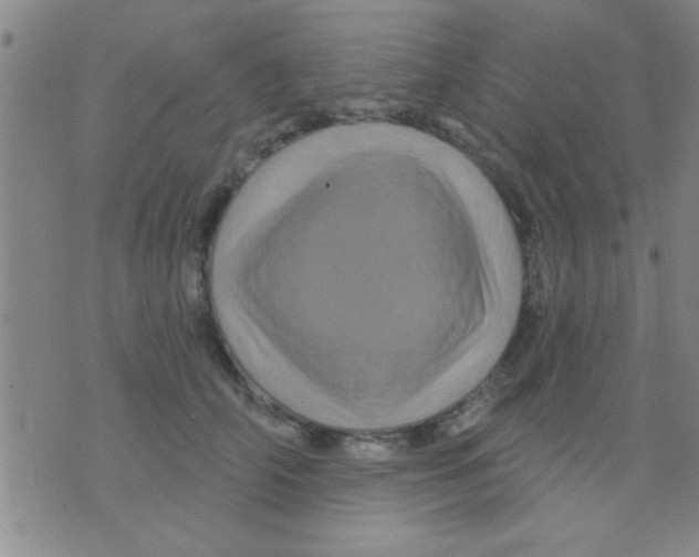 X0000075900706200610151816