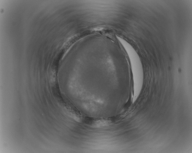 X0000075900708200610151816