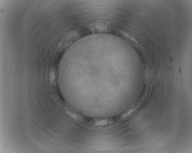 X0000075900709200610151816