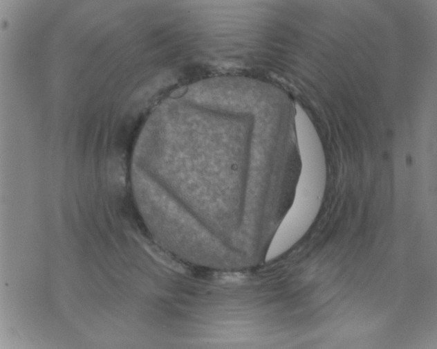 X0000075900710200610151816