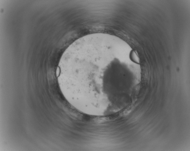 X0000075900711200610151816