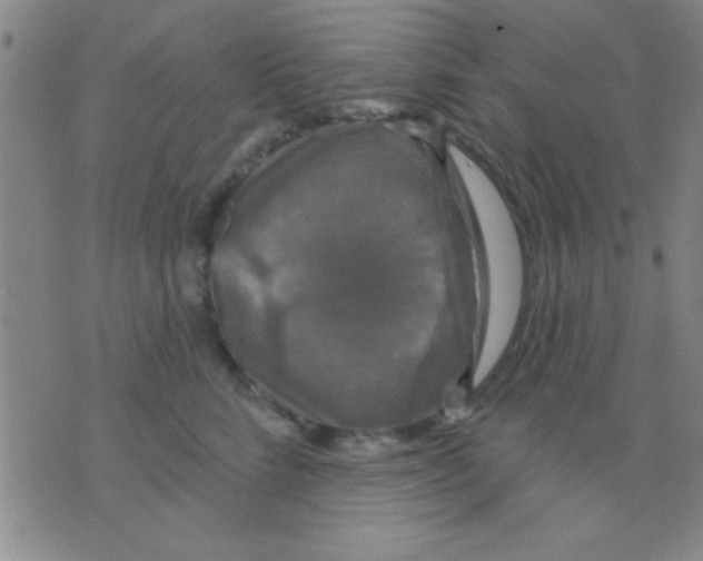 X0000075900712200610151816