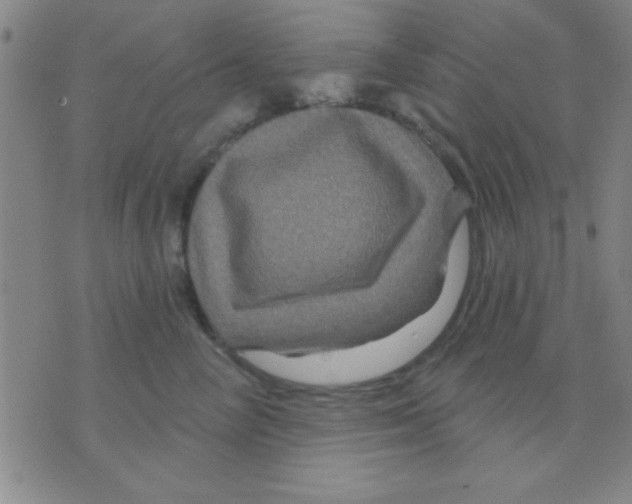 X0000075900714200610151816