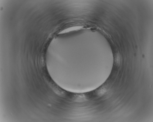 X0000075900715200610151816