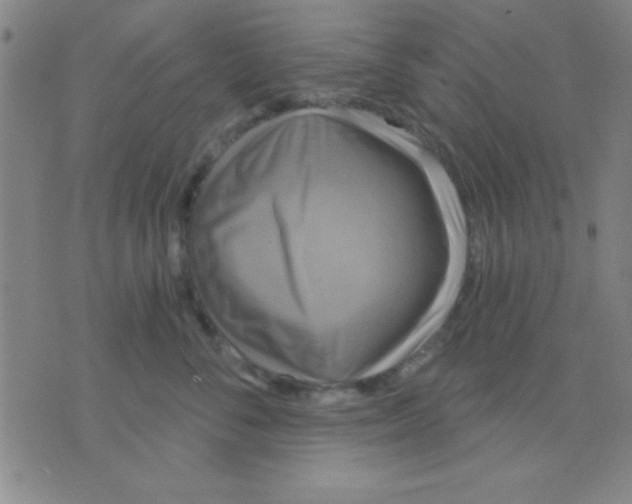 X0000075900716200610151816