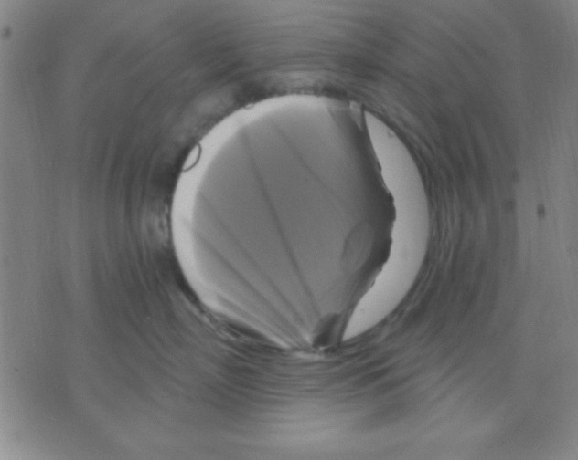 X0000075900718200610151816