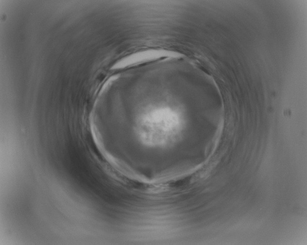 X0000075900720200610151816