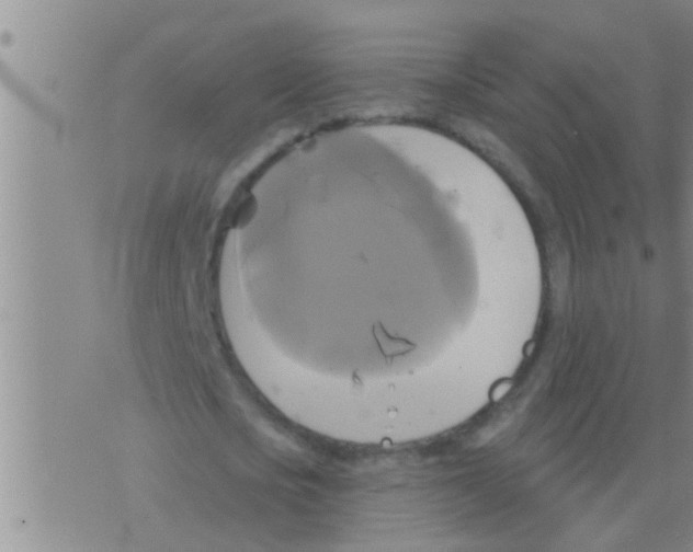 X0000075900721200610151815