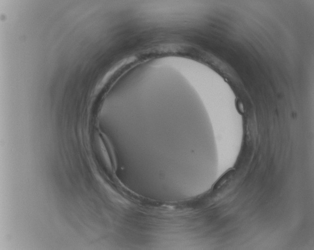 X0000075900722200610151815