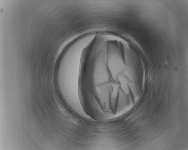 X0000075900724200610151815