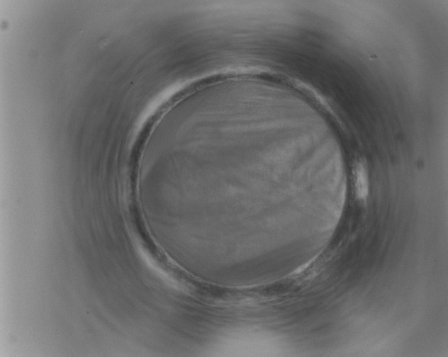 X0000075900726200610151815