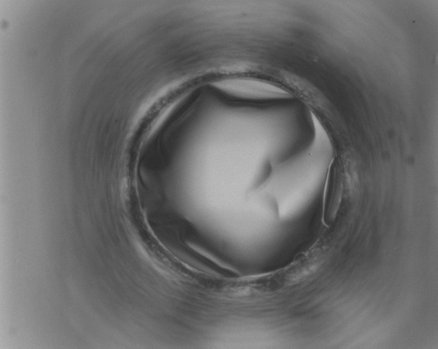 X0000075900728200610151815