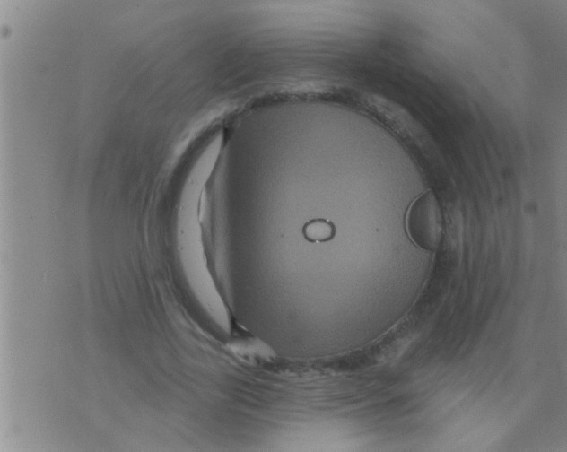 X0000075900731200610151815