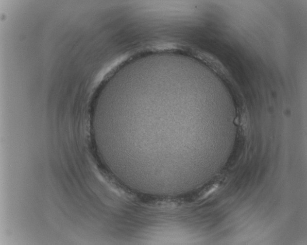 X0000075900732200610151815